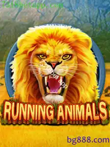 RunningAnimals